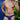 Cover Male CMK040 Bikini - Erogenos