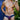 Cover Male CMK040 Bikini - Erogenos