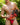 Daniel Alexander DAI057 Bikini - Erogenos