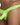 Good Devil GD7107 Thong - Erogenos