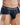 Michael MLH005 Brief - Erogenos