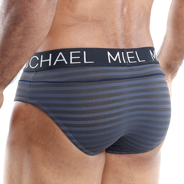 Michael MLH010 Brief - Erogenos