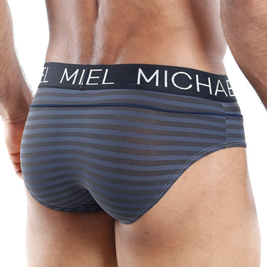 Michael MLH010 Brief - Erogenos