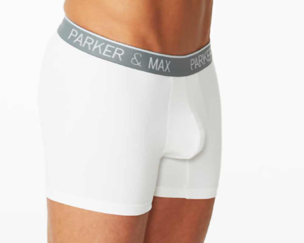 Parker & Max PMFP-BB1  Micro Luxe Boxer Brief - Erogenos