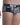 SLY SL-BUZEBB-ZEBRA  ZEBRA Brief - Erogenos