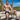 Agacio AGG052 The Half and Half Boxer - Erogenos