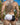 Agacio AGG052 The Half and Half Boxer - Erogenos