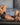 Agacio AGG058 The Goal Boxer 2 - Erogenos