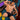 Agacio AGG061 Armor Boxer Trunk - Erogenos