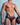 Agacio AGI012 Net Brief - Erogenos