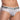 Agacio AGJ026 Mesh Panel Brief - Erogenos