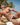Agacio AGK020 Zap Thong - Erogenos