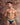 Agacio AGJ031 Enhancing Centerseam Brief - Erogenos