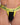 Agacio AGK030 Shaping Pouch Thong - Erogenos
