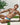 Kyle KLI032 Colores Bikini - Erogenos