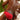 Cover Male CMI032 Beno Micro Bikini - Erogenos