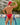 Cover Male CMI044 Full Bikini - Erogenos