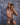 Cover Male CMI066 Color Slash Sheer Bikini - Erogenos