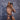 Cover Male CMI066 Color Slash Sheer Bikini - Erogenos