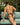 Cover Male CMJ030  Sexy Hot Brief - Erogenos