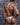 Cover Male CMK076 Multi Color Wide Waistband Thong - Erogenos