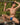 Cover Male CML022 Purity G-String - Erogenos