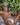 Daddy DDE048 Fishnet Pouch Jockstrap - Erogenos