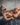 Daddy DDJ014  Be Brief - Erogenos