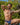 Daddy DDJ017 Greenwich Brief - Erogenos
