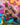 Daddy DDJ019 LGBT Strap Brief - Erogenos