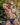 Daddy DDJ022 Supportive Strap Brief - Erogenos