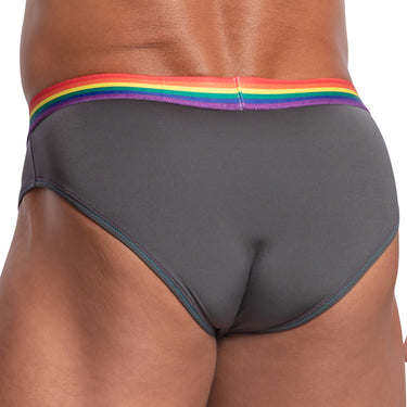 Daddy DDJ027 LGBT Waistband Brief - Erogenos