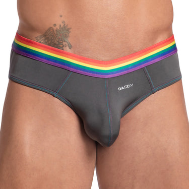 Daddy DDJ027 LGBT Waistband Brief - Erogenos