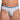 Daddy DDJ027 LGBT Waistband Brief - Erogenos