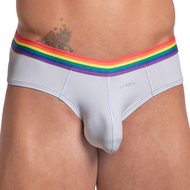 Daddy DDJ027 LGBT Waistband Brief - Erogenos