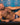 Daddy DDK035 Stroke Thong - Erogenos