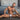Daddy DDK038  Lover Thong - Erogenos