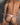Daddy DDK038  Lover Thong - Erogenos