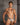 Daniel Alexander DAI079 Bi-Color Bikini - Erogenos