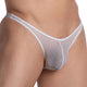Daniel Alexander DAI087 Bikinis Stripes Sheer - Erogenos