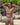Daniel Alexander DAI089 Animal  Bikini - Erogenos