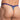 Daniel Alexander DAK061 Purple Leopard Thong - Erogenos