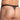 Daniel Alexander DAK064 Sheer Panel Thong - Erogenos