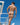 Daniel Alexander DAK066 Assorted Color Thong - Erogenos