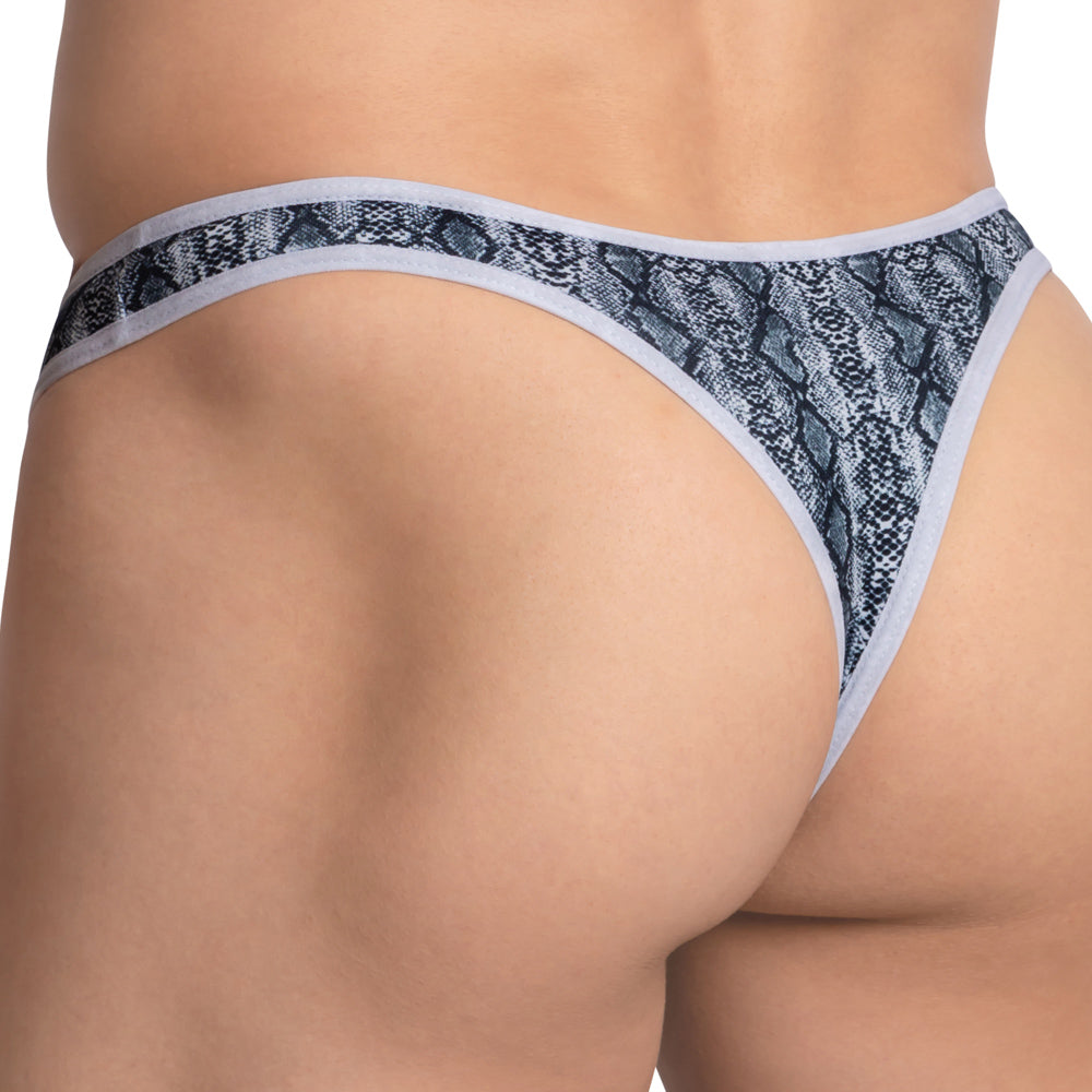 Daniel Alexander DAK069 V Back Designer Thong - Erogenos