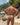 Daniel Alexander DAK069 V Back Designer Thong - Erogenos