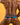 Good Devil GDE052 Tear it up Jockstrap - Erogenos