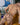 Good Devil GDE055 Impact Jock - Erogenos