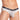 Good Devil GDI020 Mesh Lux Bikini Brief - Erogenos