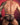 Good Devil GDI028 Fathom Bikini - Erogenos